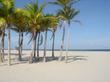 Enlarge photo 78