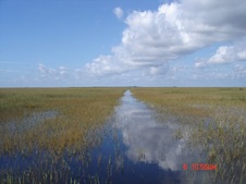 Enlarge photo 46