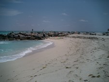 Enlarge photo 71