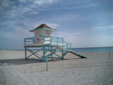 Enlarge photo 67
