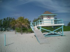Enlarge photo 65