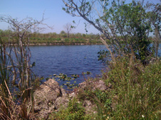 Enlarge photo 52