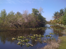 Enlarge photo 53