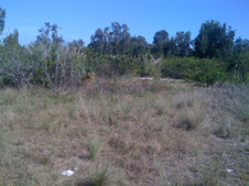 Enlarge photo 54
