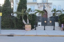Enlarge photo 21