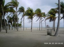 Enlarge photo 81