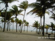 Enlarge photo 82