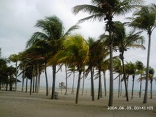 Enlarge photo 83