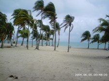 Enlarge photo 84