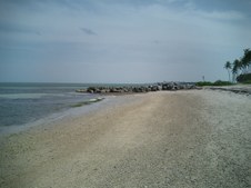 Enlarge photo 60