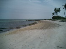 Enlarge photo 61