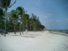 Enlarge photo 62
