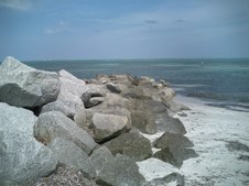 Enlarge photo 57