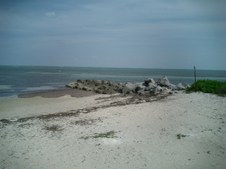 Enlarge photo 58