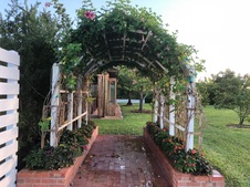 Enlarge photo 39