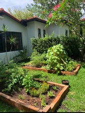 Enlarge photo 43