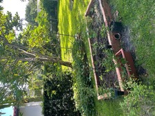 Enlarge photo 45