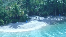 Enlarge photo 27