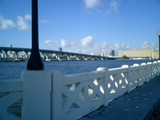 Enlarge photo 45