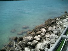 Enlarge photo 86