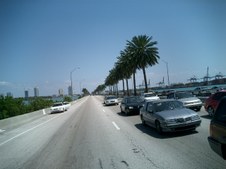 Enlarge photo 99
