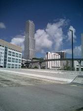 Enlarge photo 57