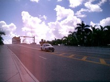 Enlarge photo 63