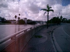 Enlarge photo 66