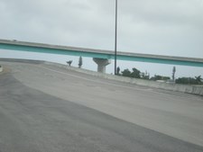 Enlarge photo 122