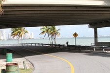 Enlarge photo 159