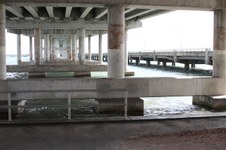 Enlarge photo 170