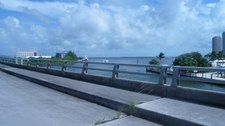 Enlarge photo 143