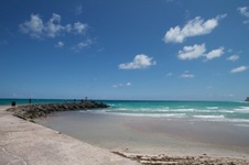 Enlarge photo 61