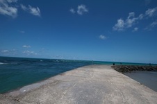 Enlarge photo 63