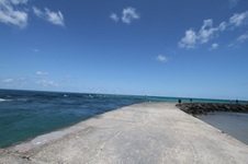 Enlarge photo 64