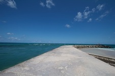 Enlarge photo 65