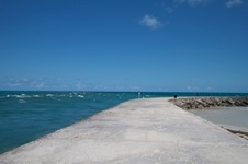 Enlarge photo 67
