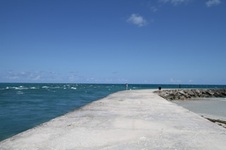 Enlarge photo 68