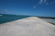 Enlarge photo 69