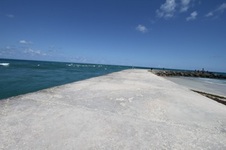 Enlarge photo 70