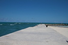 Enlarge photo 83