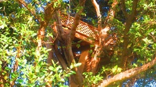 Enlarge photo 91