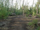 Enlarge photo 2