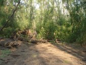 Enlarge photo 15