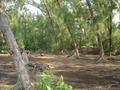 Enlarge photo 21
