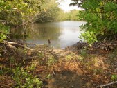 Enlarge photo 25