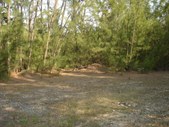 Enlarge photo 34