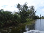 Enlarge photo 30