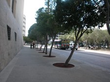Enlarge photo 132