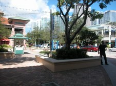 Enlarge photo 112